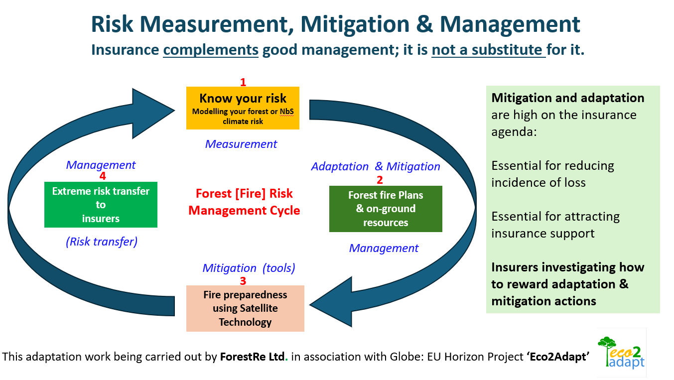 Phil Cottle Forest risk adpation mitigation managemnt cycle