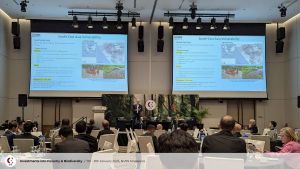 Phil Cottle _ ifb-singapore-2025-24