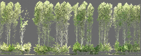 Fig4_InNovaSilva