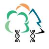 Logo_OptFORESTS